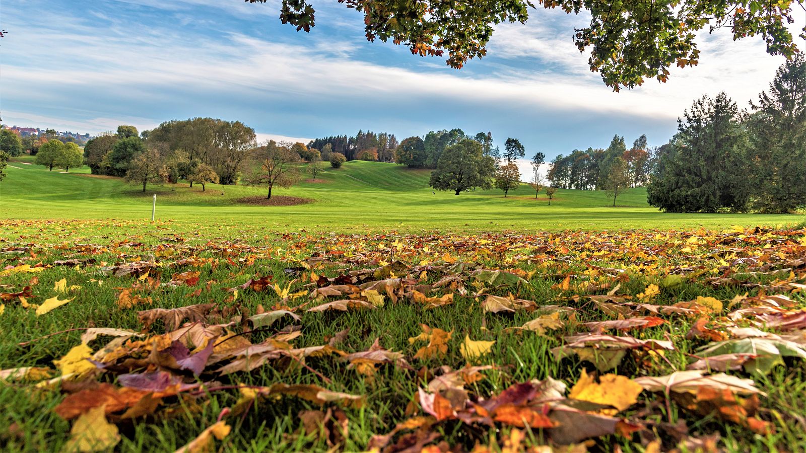 Wenn die Blätter fallen, ist die Golf-Saison noch längst nicht vorbei. Herbst-Golf hat einen ganz besonderen Reiz. © Quellness & Golf Resort Bad Griesbach/Pedagrafie
