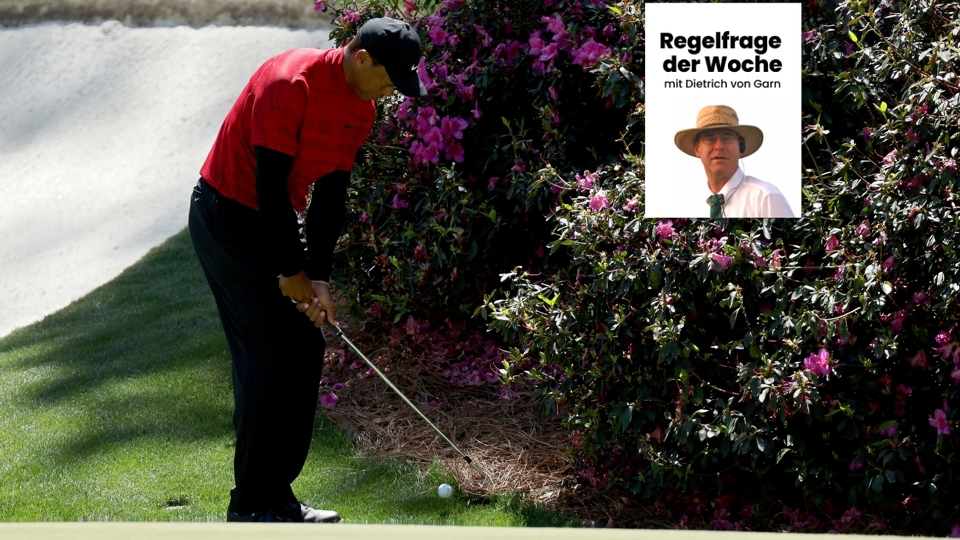 Trickreich linksherum: Tiger Woods
