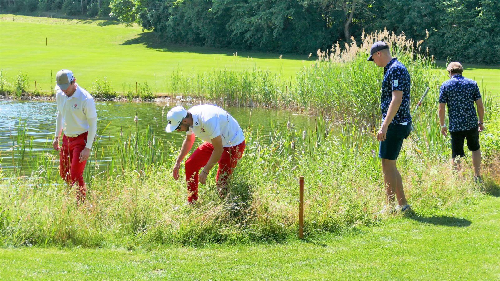 Golfball-Suche im hohen Gras: In langen Hosen ist man besser vor Zecken geschützt als in kurzen. © Kirmaier