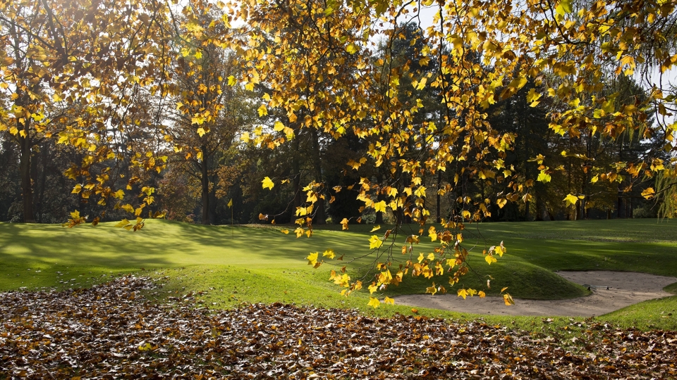 Herbststimmung auf dem Golfplatz