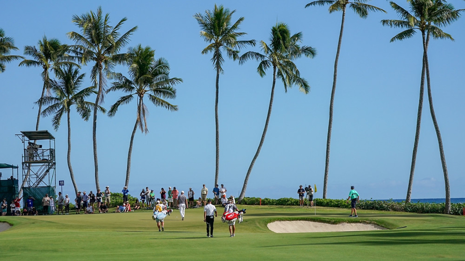 Golfen unter Palmen: Die Sony Open ist seit Jahrzehnten ein beliebter PGA-Tour-Stopp. © golfsupport.nl/Darryl Oumi/ism