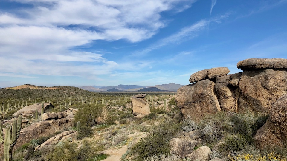 Gefühlt eine unendliche Weite: In der Sonora-Wüste können Sie wunderbar wandern und Mountainbike fahren. 