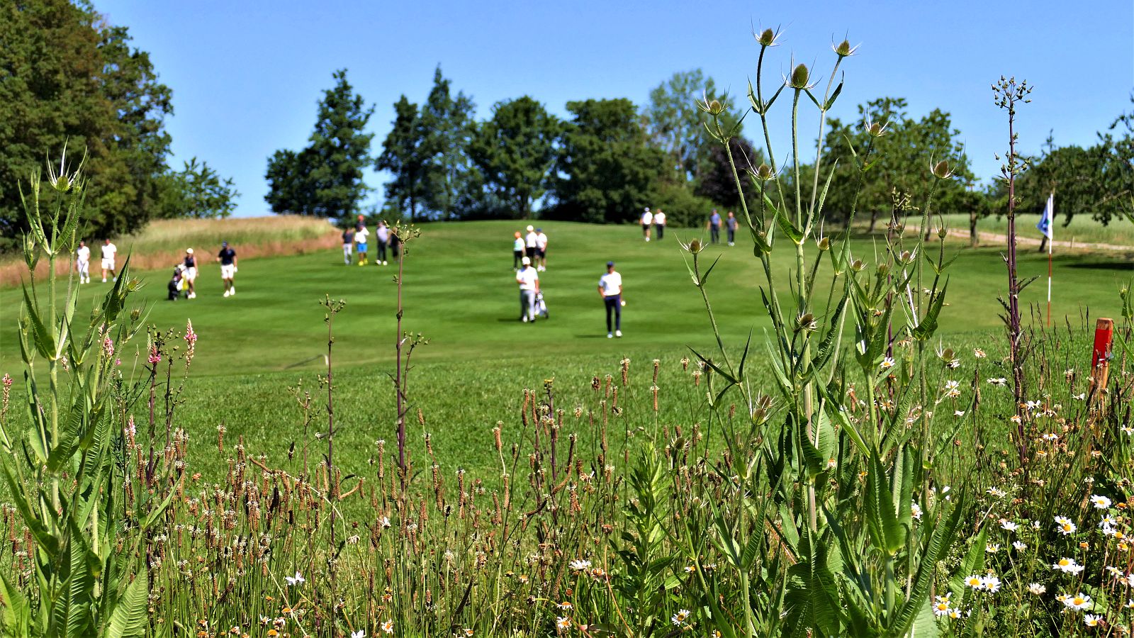 Golf & Natur gehören auch und vor allem im Stuttgarter GC Solitude zusammen.