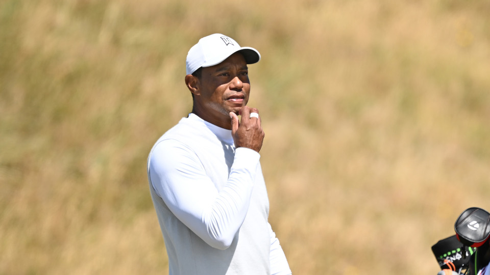 Wird schon bald wieder in den Videospielregalen zu sehen sein: Tiger Woods.